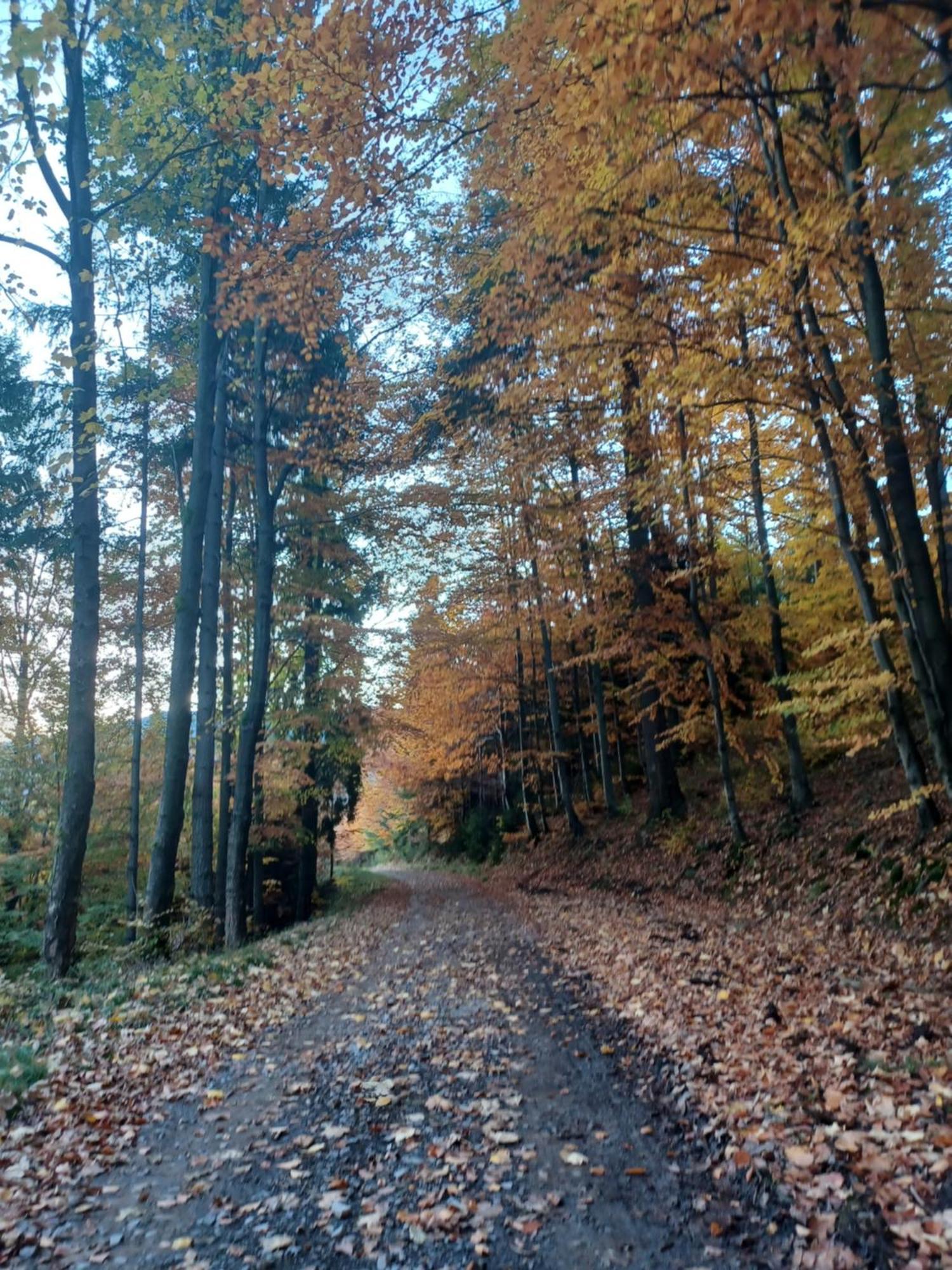 Domek Na Skalce Zabnica ภายนอก รูปภาพ